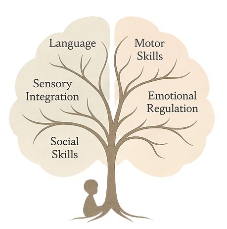 The NeuroWunder brain-tree model